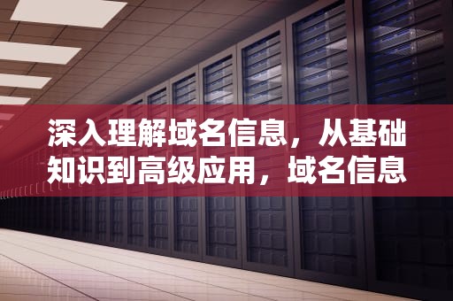 深入理解域名信息，从基础知识到高级应用，域名信息查询