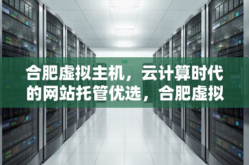 合肥虚拟主机，云计算时代的网站托管优选，合肥虚拟主机生产厂家