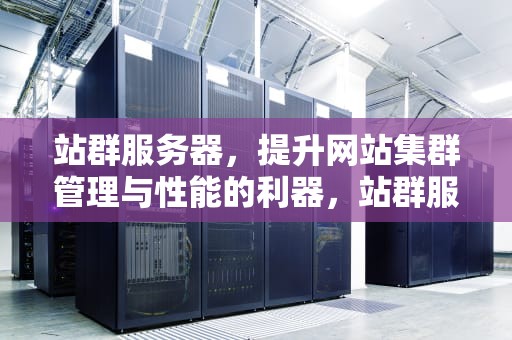 站群服务器，提升网站集群管理与性能的利器，站群服务器什么意思