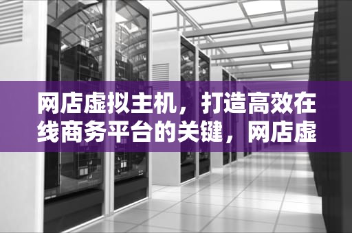 网店虚拟主机，打造高效在线商务平台的关键，网店虚拟主机是什么
