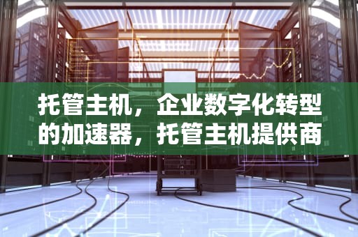 托管主机，企业数字化转型的加速器，托管主机提供商