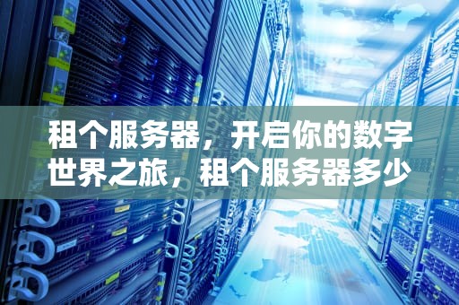 租个服务器，开启你的数字世界之旅，租个服务器多少钱一个月