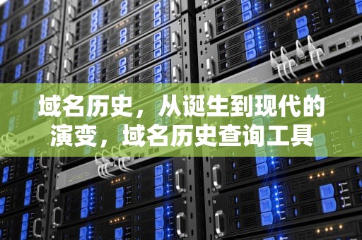 域名历史，从诞生到现代的演变，域名历史查询工具