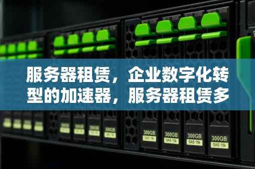 服务器租赁，企业数字化转型的加速器，服务器租赁多少钱