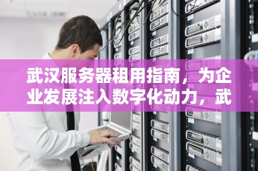 武汉服务器租用指南，为企业发展注入数字化动力，武汉服务器租用公司