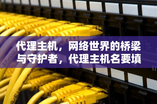 代理主机，网络世界的桥梁与守护者，代理主机名要填什么