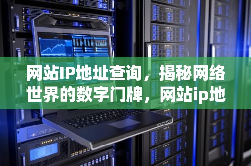 网站IP地址查询，揭秘网络世界的数字门牌，网站ip地址查询域名