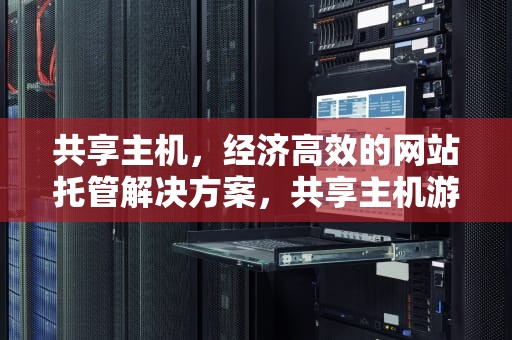 共享主机，经济高效的网站托管解决方案，共享主机游戏加盟