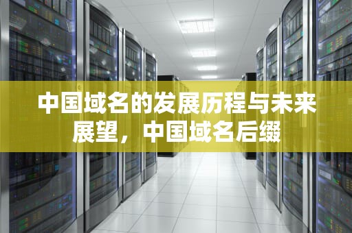 中国域名的发展历程与未来展望，中国域名后缀