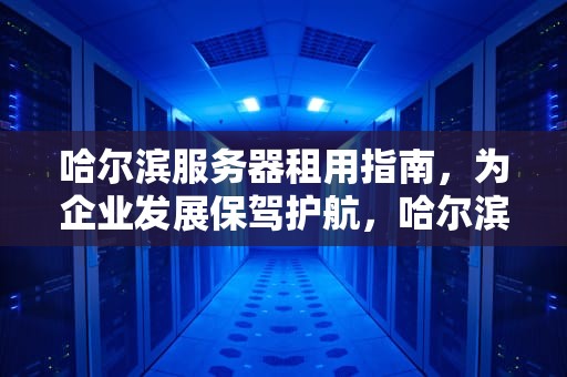 哈尔滨服务器租用指南，为企业发展保驾护航，哈尔滨服务器租用公司