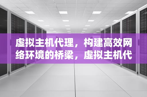 虚拟主机代理，构建高效网络环境的桥梁，虚拟主机代理系统