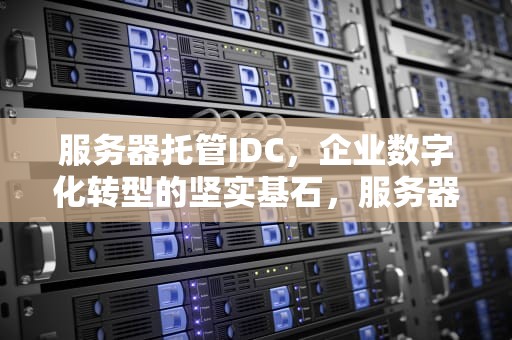服务器托管IDC，企业数字化转型的坚实基石，服务器托管idc机房都需要是什么