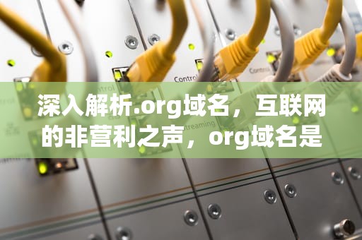 深入解析.org域名，互联网的非营利之声，org域名是什么网站