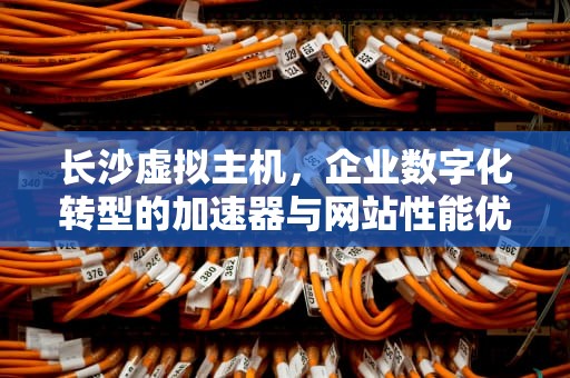 长沙虚拟主机，企业数字化转型的加速器与网站性能优化的关键，长沙虚拟主机生产厂家
