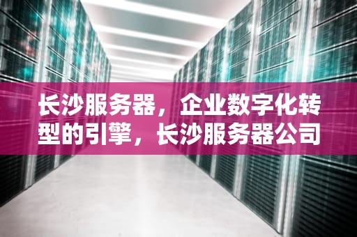 长沙服务器，企业数字化转型的引擎，长沙服务器公司