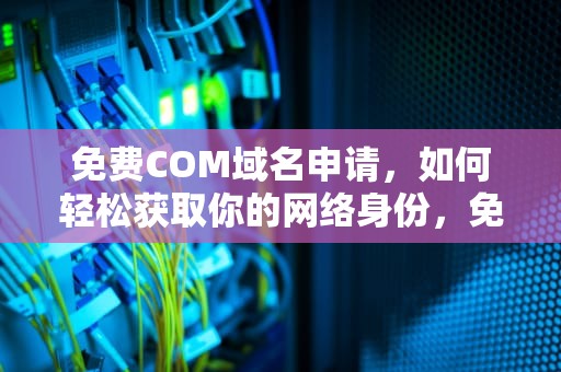 免费COM域名申请，如何轻松获取你的网络身份，免费com域名申请官网