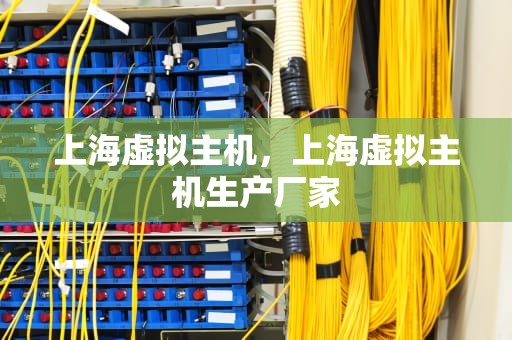 上海虚拟主机，上海虚拟主机生产厂家