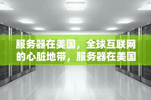 服务器在美国，全球互联网的心脏地带，服务器在美国,受美国保护