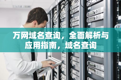 万网域名查询，全面解析与应用指南，域名查询