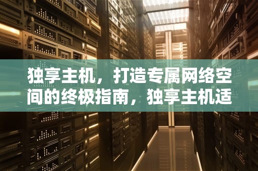 独享主机，打造专属网络空间的终极指南，独享主机适用人群