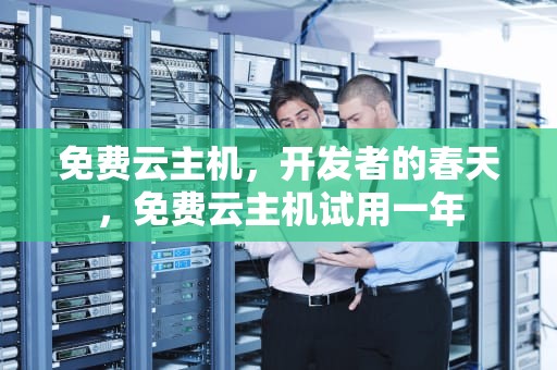 免费云主机，开发者的春天，免费云主机试用一年