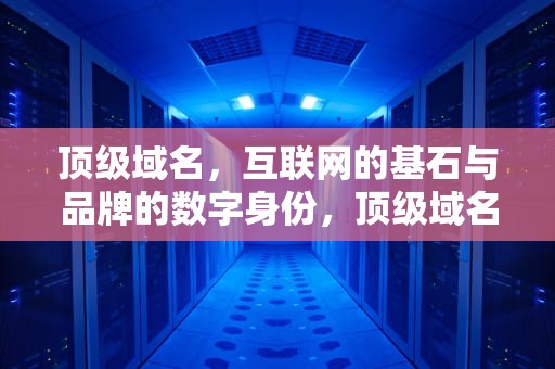 顶级域名，互联网的基石与品牌的数字身份，顶级域名有哪些