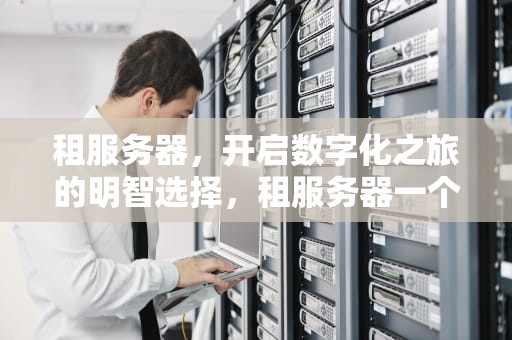 租服务器，开启数字化之旅的明智选择，租服务器一个月多少钱