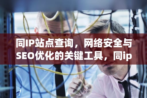 同IP站点查询，网络安全与SEO优化的关键工具，同ip站点查询源码