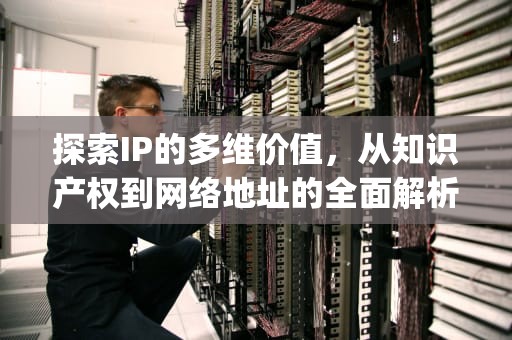 探索IP的多维价值，从知识产权到网络地址的全面解析，ip地址查询