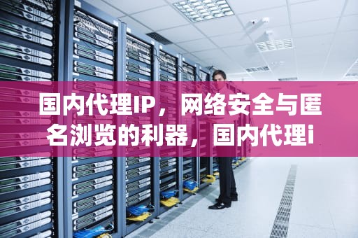 国内代理IP，网络安全与匿名浏览的利器，国内代理ip免费
