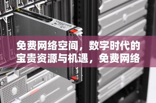 免费网络空间，数字时代的宝贵资源与机遇，免费网络空间存储