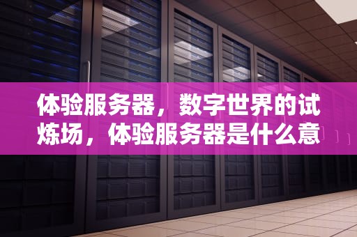 体验服务器，数字世界的试炼场，体验服务器是什么意思