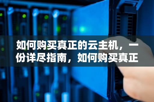 如何购买真正的云主机，一份详尽指南，如何购买真正的云主机软件