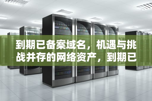 到期已备案域名，机遇与挑战并存的网络资产，到期已备案域名查询