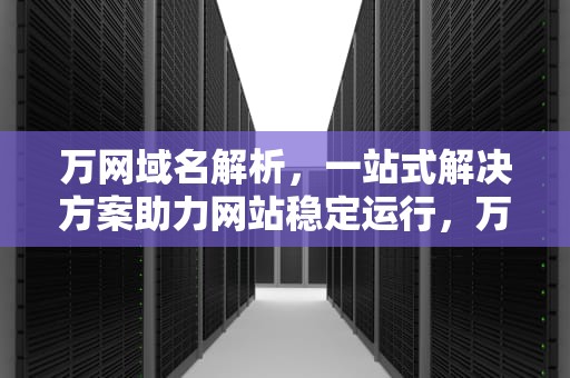 万网域名解析，一站式解决方案助力网站稳定运行，万网域名解析教程