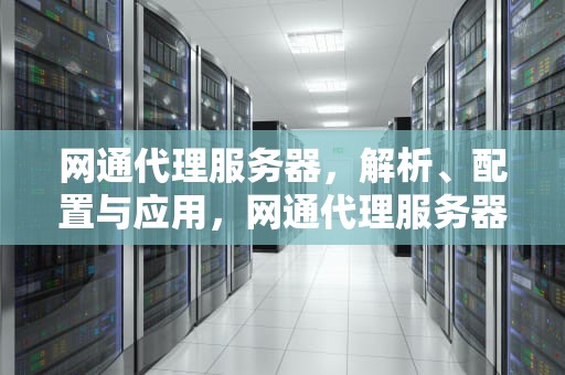 网通代理服务器，解析、配置与应用，网通代理服务器怎么设置