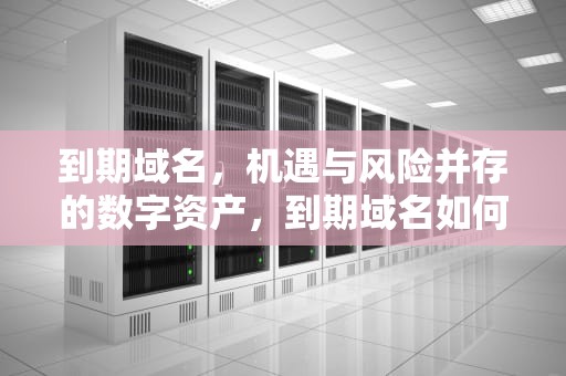 到期域名，机遇与风险并存的数字资产，到期域名如何抢注