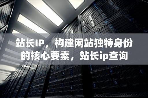 站长IP，构建网站独特身份的核心要素，站长ip查询