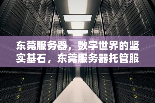 东莞服务器，数字世界的坚实基石，东莞服务器托管服务