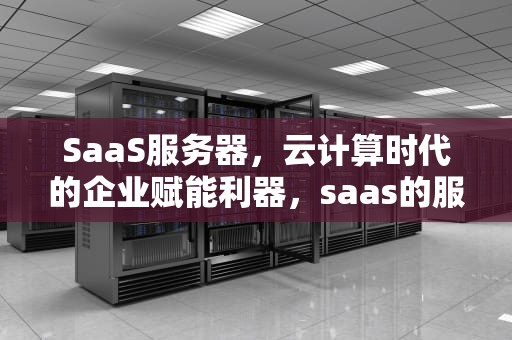 SaaS服务器，云计算时代的企业赋能利器，saas的服务
