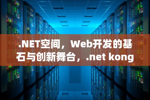 .NET空间，Web开发的基石与创新舞台，.net kong