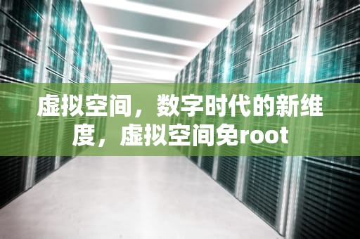 虚拟空间，数字时代的新维度，虚拟空间免root