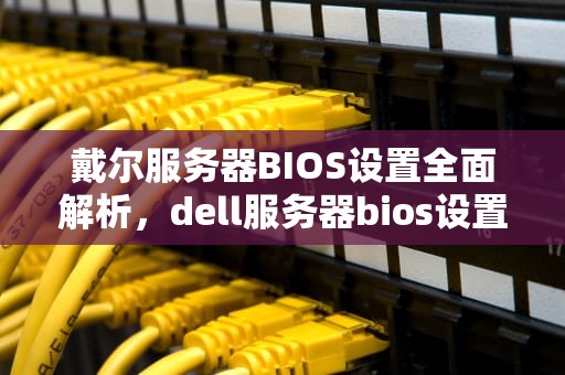 戴尔服务器BIOS设置全面解析，dell服务器bios设置中文