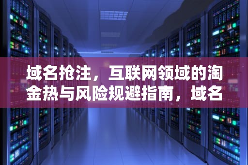 域名抢注，互联网领域的淘金热与风险规避指南，域名抢注是指