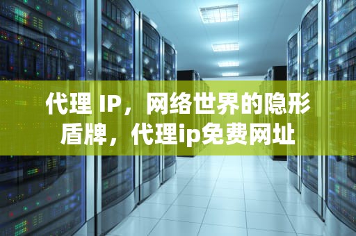 代理 IP，网络世界的隐形盾牌，代理ip免费网址