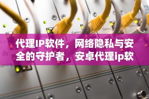 代理IP软件，网络隐私与安全的守护者，安卓代理ip软件