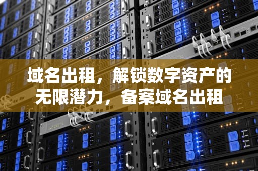 域名出租，解锁数字资产的无限潜力，备案域名出租