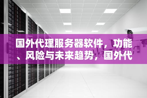 国外代理服务器软件，功能、风险与未来趋势，国外代理服务器软件排名