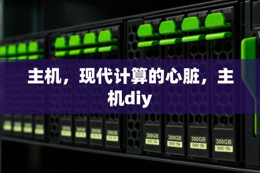 主机，现代计算的心脏，主机diy
