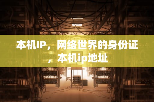 本机IP，网络世界的身份证，本机ip地址
